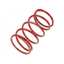 Пружина TRQ SPORT +2000RPM ДРУГИ NK900.65