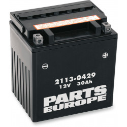 Акумулатор AGM без поддръжка 12V 30 AH 385A 10 KG 166.69 MM X 127 MM X 174.63 MM черен ДРУГИ CTX30L-BS Акумулатор AGM без поддръжка 12V 30 AH 385A 10 KG 166.69 MM X 127 MM X 174.63 MM черен ДРУГИ CTX30L-BS