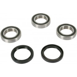 Комплект заден лагер на колело OEM replacement PIVOT WORKS PWRWK-Y09-421