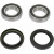 Комплект заден лагер на колелото OEM замяна PIVOT WORKS PWRWK-Y09-000 thumb