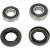 Комплект заден лагер на колело OEM replacement PIVOT WORKS PWRWK-Y25-008 Комплект заден лагер на колело OEM replacement PIVOT WORKS PWRWK-Y25-008 thumb