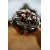 Съединител RADIUSCX 4.0 HONDA REKLUSE RMS-8901001 Съединител RADIUSCX 4.0 HONDA REKLUSE RMS-8901001 thumb