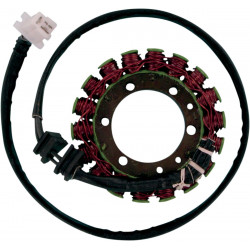 Статор OEM style RICK'S MOTORSPORT ELECTRICS 21-105