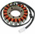 Статор OEM style RICK'S MOTORSPORT ELECTRICS 21-222 Статор OEM style RICK'S MOTORSPORT ELECTRICS 21-222 thumb