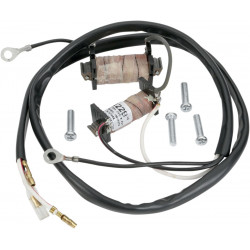 Комплект за възстановяване на статора RICK'S MOTORSPORT ELECTRICS 22-780
