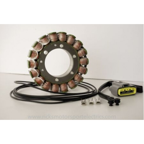 Статор YAMAHA RICK'S MOTORSPORT ELECTRICS 21-428 Статор YAMAHA RICK'S MOTORSPORT ELECTRICS 21-428