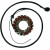 Статор OEM style RICK'S MOTORSPORT ELECTRICS 21-215 Статор OEM style RICK'S MOTORSPORT ELECTRICS 21-215 thumb