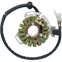 Статор OEM style RICK'S MOTORSPORT ELECTRICS 21-903H