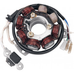 Статор OEM style RICK'S MOTORSPORT ELECTRICS 21-602H