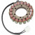 Статор OEM style RICK'S MOTORSPORT ELECTRICS 21-001 thumb