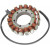 Статор OEM style RICK'S MOTORSPORT ELECTRICS 21-003 Статор OEM style RICK'S MOTORSPORT ELECTRICS 21-003 thumb