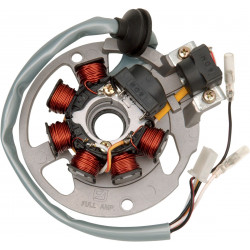 Статор OEM style RICK'S MOTORSPORT ELECTRICS 21-550 Статор OEM style RICK'S MOTORSPORT ELECTRICS 21-550