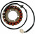 Статор OEM style RICK'S MOTORSPORT ELECTRICS 21-006 Статор OEM style RICK'S MOTORSPORT ELECTRICS 21-006 thumb