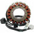Статор HOT SHOT RICK'S MOTORSPORT ELECTRICS 21-311H Статор HOT SHOT RICK'S MOTORSPORT ELECTRICS 21-311H thumb