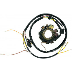 Статор OEM style RICK'S MOTORSPORT ELECTRICS 21-553