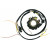 Статор OEM style RICK'S MOTORSPORT ELECTRICS 21-553 thumb