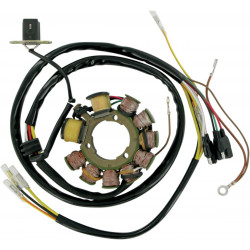 Статор OEM style RICK'S MOTORSPORT ELECTRICS 21-555