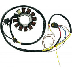 Статор OEM STYLE RICK'S MOTORSPORT ELECTRICS 21-556