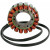 Статор OEM style RICK'S MOTORSPORT ELECTRICS 21-008 thumb