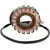 Статор OEM style RICK'S MOTORSPORT ELECTRICS 21-010 thumb