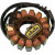 Статор OEM style RICK'S MOTORSPORT ELECTRICS 21-234 Статор OEM style RICK'S MOTORSPORT ELECTRICS 21-234 thumb
