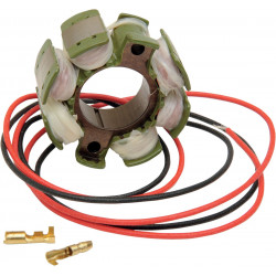 Статор OEM style RICK'S MOTORSPORT ELECTRICS 21-811
