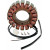 Статор HOT SHOT RICK'S MOTORSPORT ELECTRICS 21-422 Статор HOT SHOT RICK'S MOTORSPORT ELECTRICS 21-422 thumb
