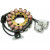 Статор OEM style RICK'S MOTORSPORT ELECTRICS 21-924 thumb