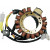 Статор OEM style RICK'S MOTORSPORT ELECTRICS 21-817 thumb