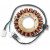 Статор OEM STYLE RICK'S MOTORSPORT ELECTRICS 21-059 thumb