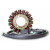 Статор OEM style RICK'S MOTORSPORT ELECTRICS 21-568 thumb