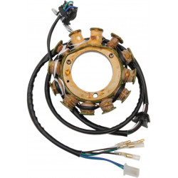 Статор HOT SHOT RICK'S MOTORSPORT ELECTRICS 21-647H