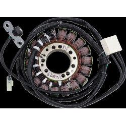 Статор в OE стил TRIUMPH RICK'S MOTORSPORT ELECTRICS 21-029