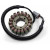 Статор SKI DOO 24-109 RICK'S MOTORSPORT ELECTRICS 24-109 Статор SKI DOO 24-109 RICK'S MOTORSPORT ELECTRICS 24-109 thumb