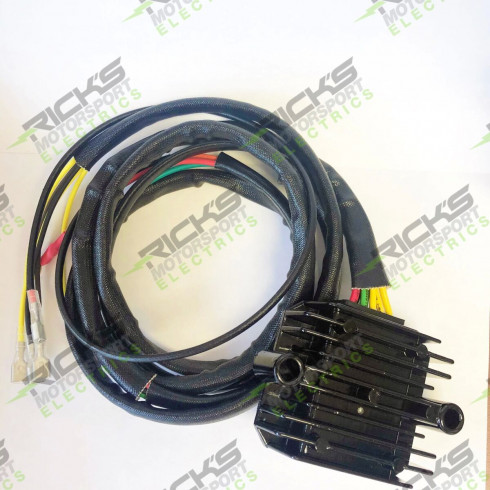Регулатор L-ION BMW UNIV 14-002 RICK'S MOTORSPORT ELECTRICS 14-0012 Регулатор L-ION BMW UNIV 14-002 RICK'S MOTORSPORT ELECTRICS 14-0012