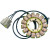 Статор BMW RICK'S MOTORSPORT ELECTRICS 21-038 Статор BMW RICK'S MOTORSPORT ELECTRICS 21-038 thumb