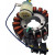 Статор HONDA RICK'S MOTORSPORT ELECTRICS 21-650 Статор HONDA RICK'S MOTORSPORT ELECTRICS 21-650 thumb