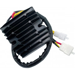 Рек/рег HOT SHOT KAW RICK'S MOTORSPORT ELECTRICS 10-333H