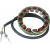 Статор DUCATI RICK'S MOTORSPORT ELECTRICS 21-039 thumb