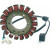 Статор ARCTIC CAT RICK'S MOTORSPORT ELECTRICS 21-067 Статор ARCTIC CAT RICK'S MOTORSPORT ELECTRICS 21-067 thumb