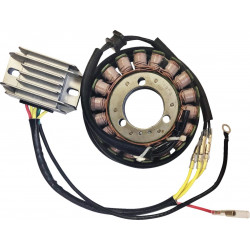 Комплект за зареждане H/S KAWASAKI RICK'S MOTORSPORT ELECTRICS 99-200H Комплект за зареждане H/S KAWASAKI RICK'S MOTORSPORT ELECTRICS 99-200H