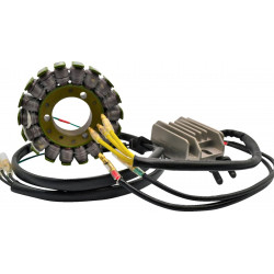 Комплект за зареждане H/S KAWASAKI RICK'S MOTORSPORT ELECTRICS 14-99-201H Комплект за зареждане H/S KAWASAKI RICK'S MOTORSPORT ELECTRICS 14-99-201H