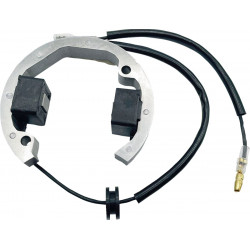 Статор KTM HUS 50 RICK'S MOTORSPORT ELECTRICS 21-0093 Статор KTM HUS 50 RICK'S MOTORSPORT ELECTRICS 21-0093