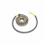 Статор HONDA RICK'S MOTORSPORT ELECTRICS 21-169 Статор HONDA RICK'S MOTORSPORT ELECTRICS 21-169 thumb