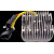 OE стил регулатор/изправител POLARIS RICK'S MOTORSPORT ELECTRICS 10-576 OE стил регулатор/изправител POLARIS RICK'S MOTORSPORT ELECTRICS 10-576 thumb