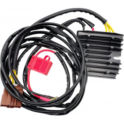 Rec/reg HT SHOT LITH comp RICK'S MOTORSPORT ELECTRICS 14-040H