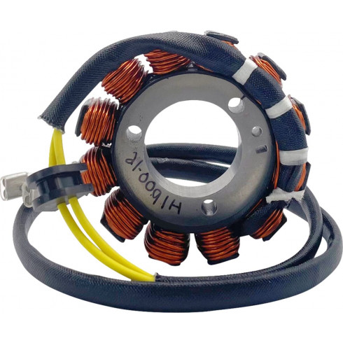 Статор HOT SHOT KTM RICK'S MOTORSPORT ELECTRICS 21-0091H Статор HOT SHOT KTM RICK'S MOTORSPORT ELECTRICS 21-0091H