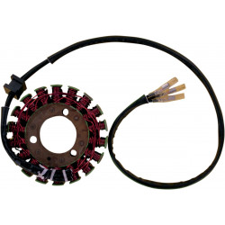 Статор OEM style RICK'S MOTORSPORT ELECTRICS 21-203