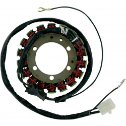 Статор OEM style RICK'S MOTORSPORT ELECTRICS 21-401
