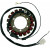 Статор OEM style RICK'S MOTORSPORT ELECTRICS 21-401 Статор OEM style RICK'S MOTORSPORT ELECTRICS 21-401 thumb